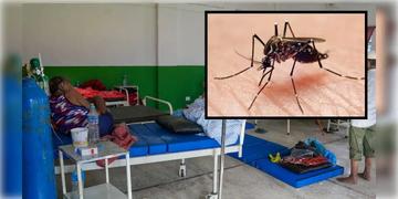 Read more about - Dengue Alert Kolkata | শহরে ১০ ডেঙ্গু আক্রান্তের মৃত্যু, হাসপাতালে ভর্তি ৮০০ জন! পদ্মপুল বন্ধের আহ্বান স্বাস্থ্যমন্ত্রীর