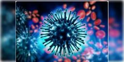 Read more about - H1N1 Virus | মাত্র ৩ মাসেই আক্রান্ত ৫১৬ মৃত্যু ৬ জনের! নতুন করে চিন্তা বাড়াচ্ছে H1N1 ভাইরাস!