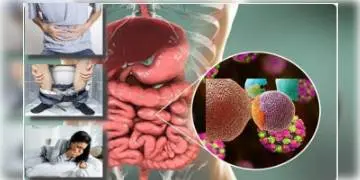 Read more about - করোনার পাশাপাশি ক্রমশ সংক্রমণ ঘটাচ্ছে Norovirus, চিন্তায় মাথায় হাত বিশেষজ্ঞদের!