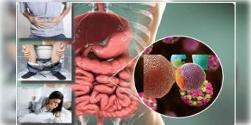 Read more about - করোনার পাশাপাশি ক্রমশ সংক্রমণ ঘটাচ্ছে Norovirus, চিন্তায় মাথায় হাত বিশেষজ্ঞদের!