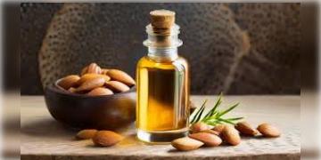 Read more about - Argan | মরক্কোর বিশেষ গাছ থেকে তৈরী হয় এই ‘লিকুইড গোল্ড’! সঠিকভাবে আর্গান তেল ব্যবহার করলে সোনার মতোই দেখাবে ত্বক ও চুল!