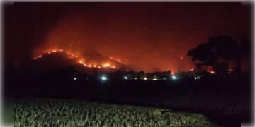 Read more about - ওড়িশার সিমলিপালের দাবানল ক্রমশ ব্যাঘ্র প্রকল্পের কাছাকাছি পৌঁছনোয় চিন্তা বাড়ছে বিভিন্ন মহলে