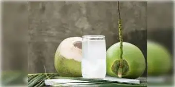 Read more about - ডাবের জল খেয়ে কিভাবে ঝরবে অতিরিক্ত মেদ ? আসুন জেনে নেওয়া যাক...  