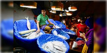 Read more about - Bangladesh Hilsa | বাংলাদেশে আকাশ ছোঁয়া ইলিশের দাম, আইনি নোটিস পাঠালেন সুপ্রিম কোর্টের আইনজীবী