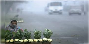 Read more about - Weather Update | ভোরে কুয়াশা থাকলেও দিনে বাড়বে উষ্ণতা-শুষ্কতা, কেমন থাকবে ফেব্রুয়ারিতে বঙ্গের আবহাওয়া?