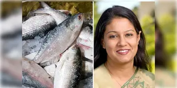 Read more about - Bangladesh | ডলারের ভাঁড়ারের অবস্থা খারাপ, সেই কারণেই ভারতে ইলিশ পাঠাচ্ছে বাংলাদেশ: দাবি উপদেষ্টা সৈয়দা রিজওয়ানা হাসানের