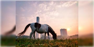 Read more about - Weather Update | ফিরছে 'মাঘের শীত'? একনজরে দেখে নিন কলকাতার আজকের আবহাওয়া আপডেট