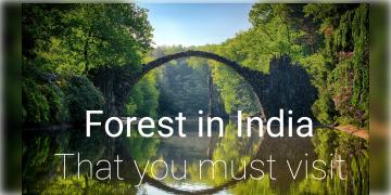Read more about - International Day of Forests | সবুজের টানে কিংবা ওয়াইল্ড লাইফ ফটোগ্রাফির কারণে, কেবল দেশই নয় বিশ্বখ্যাত ভারতের এই অরণ্যগুলি!