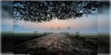 Read more about - উধাও শীত! কি বলছে আবহাওয়া দফতর ?