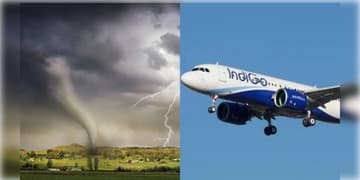 Read more about - Flight Cancelled | ঘূর্ণিঝড় অর্ণবের জেরে দেশজুড়ে বাতিল  Air India-Indigo সহ একাধিক ফ্লাইট!