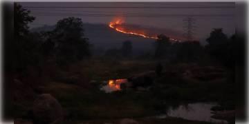 Read more about - শুশুনিয়া, অযোধ্যা, পঞ্চকোট পাহাড়ের জঙ্গলে ফের অগ্নিকান্ড, স্থানীয় দুষ্কৃতীদের কাজ অনুমান বন দফতরের