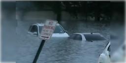 Read more about - Heavy Rain | নিউ ইয়র্ক সিটি ও নিউ জার্সিতে হঠাৎ বন্যা পরিস্থিতি! জারি হলো জরুরি অবস্থা!