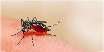 Read more about - Karnataka Dengue | কর্নাটকে ডেঙ্গুকে মহামারী বলে ঘোষণা! স্বাস্থ্যবিধি না মানলে হবে জরিমানা