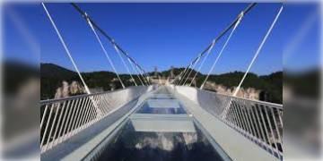 Read more about - চিনের মতো বিহারও গ্লাসব্রিজ! এডভেঞ্চারের খোঁজে ভিড় করছেন পর্যটকরা।  
