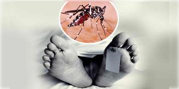 Read more about - Dengue | ডেঙ্গিতে মৃত্যু বেহালাবাসী এক যুবকের, আড়াই মাসে ডেঙ্গিতে আক্রান্ত ২২০০