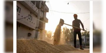 Read more about - রফতানিতে লাগাম দিল ভারত, বিশ্ব বাজারে লাফিয়ে গমের মূল্যবৃদ্ধি