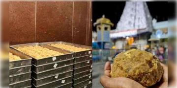 Read more about - Tirupati Controversy | তিরুপতির লাড্ডুতে পাম অয়েলের ব্যবহার! প্রোমোটারকে গ্রেপ্তার ইডির