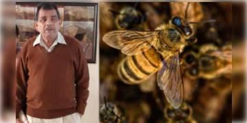 Read more about - বাড়ি ফেরার পথে মৌমাছির মরণ কামড়, হাসপাতালে মৃত্যু বৃদ্ধের