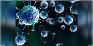 Read more about - Shamonda Virus | মানবদেহে থাবা বসাচ্ছে শামোন্ডা ভাইরাস, ফ্রান্সে মৃত এক!
