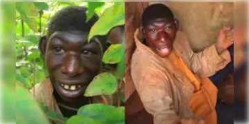 Read more about - জঙ্গলের ঘাস-ফলমূল খেয়ে বাস্তবের "মোগলি"কে আর দিনযাপন করতে হবে না, উপচে পড়ল সাহায্য !