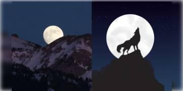 Read more about - ৩০ ডিসেম্বর নাসা চাঁদের এক বিস্ময় রূপের ছবি শেয়ার করেছে। কেন এই চাঁদকে "Wolf Moon" বলা হয় জানেন?