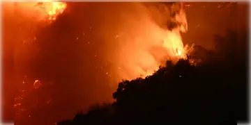 Read more about - Magrahat Station | মগরাহাট স্টেশনে অগ্নিকান্ড! বন্ধ রইলো ডায়মন্ড হারবার লাইনের ট্রেন চলাচল!