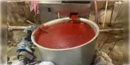 Read more about - Ketchup | আমেদাবাদের কারখানায় উদ্ধার  ১০ হাজার ৬৩০ কেজি ভেজাল সস ও ক্ষতিকর কাঁচামাল!