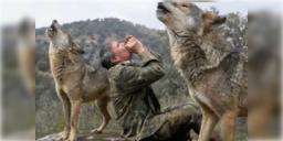 Read more about - Spain Wolf Boy | নেকড়ে পরিবারের সদস্য হিসেবে কাটিয়েছিলেন ১২ বছর! প্রয়াত স্পেনের ‘মোগলি’ মার্কোস!