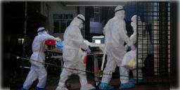 Read more about - Nipah Virus | নিপা ভাইরাসের জেরে কেরলে মৃত্যু ২৪ বছর বয়সী এক পড়ুয়ার, জারি সতর্কতা