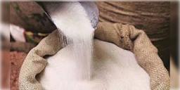 Read more about - Ethanol | চিনির দাম রেকর্ড উচ্চতায় পৌঁছাতেই ইথানল উৎপাদনের জন্য আখ ব্যবহারে লাগাম টানার কথা ভাবছে কেন্দ্র!