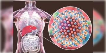 Read more about - বিশ্ব হেপাটাইটিস দিবস: কেন হয় হেপাটাইটিস? লক্ষণ কি? আক্রান্ত হলে কি করবেন?