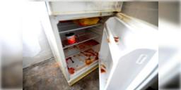 Read more about - Bengaluru Muder | বেঙ্গালুরুতে শ্রদ্ধা কাণ্ডের ছায়া! ফ্রিজ থেকে উদ্ধার ২৬ বছরের যুবতীর ৩০ টুকরো দেহাংশ