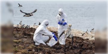 Read more about - Bird Flu H5N1 | বিশ্বজুড়ে কোভিডের চেয়েও ১০০ গুণ ভয়ংকর মহামারীর আশঙ্কা! ক্রমশ ভয়াবহ আকার ধারণ করছে বার্ড ফ্লুর H5N1 প্রজাতির স্ট্রেইন!