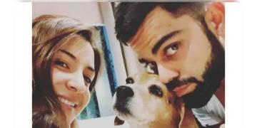 Read more about - শহরের রাস্তাঘাটে ঘুরে বেড়ানো পশুদের জন্য আস্তানা গড়লেন বিরাট-অনুষ্কা