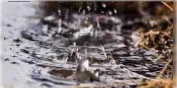 Read more about - রাজ্যে প্রবল বৃষ্টির সম্ভবনা রয়েছে আগামী পাঁচদিন, কলকাতার আবহাওয়া কিরূপ জানাল IMD