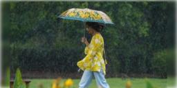 Read more about - Weather Update | দূরত্ব বাড়িয়েছে নিম্নচাপ, বঙ্গে কমছে বৃষ্টি, একনজরে কলকাতার আজকের আবহাওয়া আপডেট