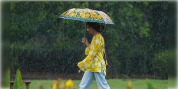 Read more about - Weather Update | দূরত্ব বাড়িয়েছে নিম্নচাপ, বঙ্গে কমছে বৃষ্টি, একনজরে কলকাতার আজকের আবহাওয়া আপডেট