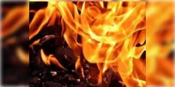 Read more about - রাজকোট কোভিড হাসপাতালের অগ্নিকাণ্ডে নিহত ৬ জন!