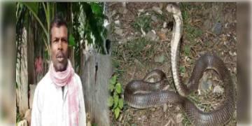 Read more about - ৩২ বছরে ৭২ বার সাপের কামড়, প্রতিশোধ নাকি অন্য কিছু ! অবাক বিশেষজ্ঞরা