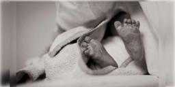 Read more about - Maharashtra | চলন্ত বাসে প্রসব! সদ্য জন্মানো শিশুকে জানলা দিয়ে ফেললো ১৯ বছরের মা ও বাবা!