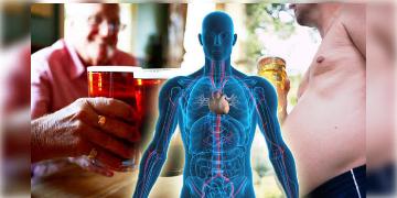 Read more about - Liver Health | “আমলকির গুণে যকৃত” সকালে খালি পেটে কী করলে লিভার সুস্থ থাকে?