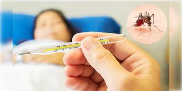 Read more about - Dengue । শীতের শুরুতেই রাজ্যে ডেঙ্গুর বলি ৩, আর জি করে মৃত্যু এক আক্রান্তের