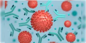 Read more about - আমেরিকার দক্ষিণ ফ্লোরিডায় বিশ্বে প্রথম কোভিডের অ্যান্টিবডি নিয়েই জন্ম নিল শিশু