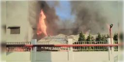 Read more about - Kolkata Fire | তপসিয়ার সোফা কারখানায় আগুন! কালো ধোঁয়ায় ঢেকেছে এলাকা,ঘটনাস্থলে দমকলের ৯টি ইঞ্জিন