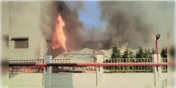 Read more about - Kolkata Fire | তপসিয়ার সোফা কারখানায় আগুন! কালো ধোঁয়ায় ঢেকেছে এলাকা,ঘটনাস্থলে দমকলের ৯টি ইঞ্জিন