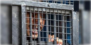 Read more about - RG Kar | সঞ্জয়কে আদালতে নিয়ে যাওয়া আসা করবে কালো কাচে ঢাকা 'বিশেষ' গাড়ি! বিনীত গোয়েলের নাম নেওয়ার জন্যই এই সিদ্ধান্ত?