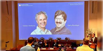 Read more about - Nobel Prize | চিকিৎসাশাস্ত্রে নোবেল ২০২৪ পেলেন দুই মার্কিন বিজ্ঞানী ভিক্টর অ্যামব্রোজ এবং গ্যারি রুভকুন