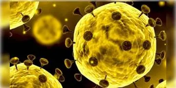 Read more about - কোভিড ১৯ -এর নতুন স্ট্রেন ধরা পরেনি ভারতে, দাবি কেন্দ্রের  