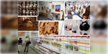 Read more about - International Museum Day | চুল থেকে শুরু করে জাদুঘর রয়েছে শৌচালয়েরও! বিশ্ব জাদুঘর দিবসের দিন জানুন অদ্ভুত মিউজিয়াম সম্পর্কে!