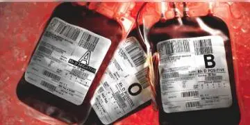 Read more about - লিউকেমিয়া রোগীর ক্ষেত্রে রক্তের চাহিদা আগাম বলা সম্ভবনা, ফলে রক্ত সঙ্কটে লিউকেমিয়া আক্রান্ত শিশুরা।